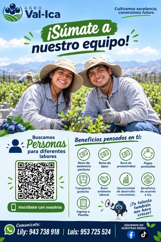 Personal para Agroval Ica - Imagen 1