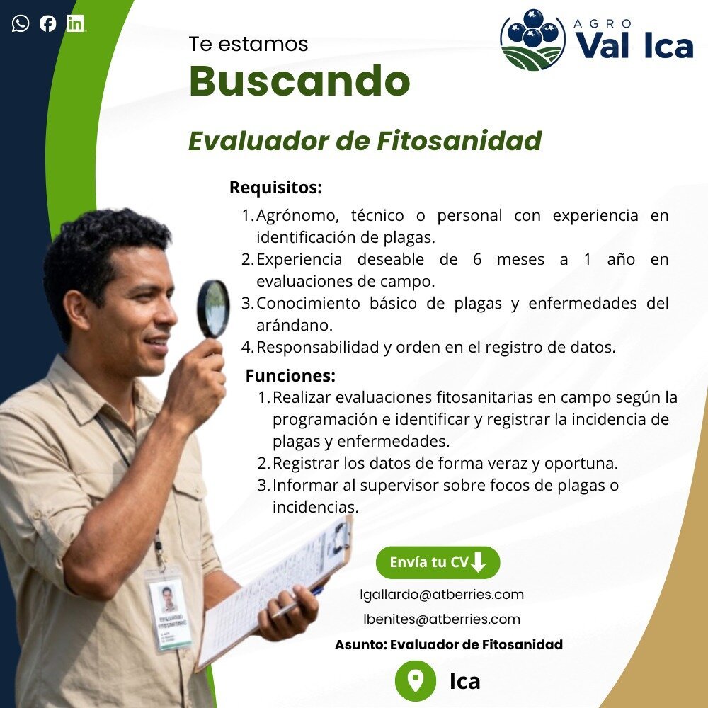 Supervisor de sanidad y 4 trabajos mas - Imagen 2