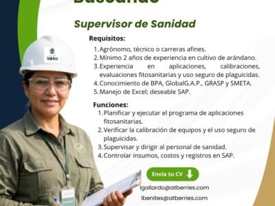 Supervisor de sanidad y 4 trabajos mas