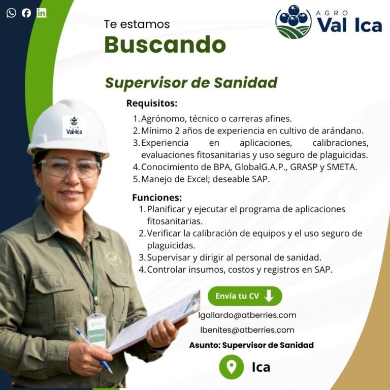 Supervisor de sanidad y 4 trabajos mas