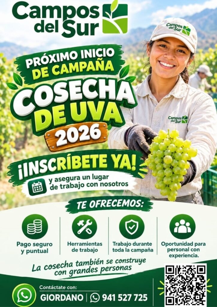 Cosechadores de uva – Campaña 2026 – Campos del Sur - Imagen 1