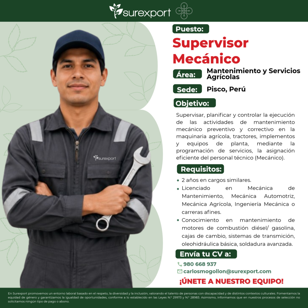 SUPERVISOR MECÁNICO - Imagen 1