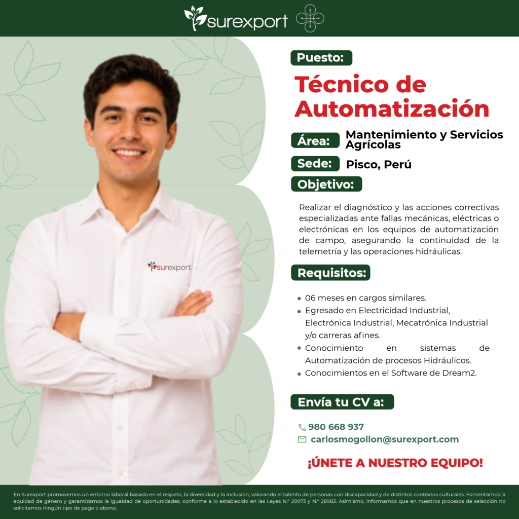 TÉCNICO DE AUTOMATIZACIÓN - Imagen 1