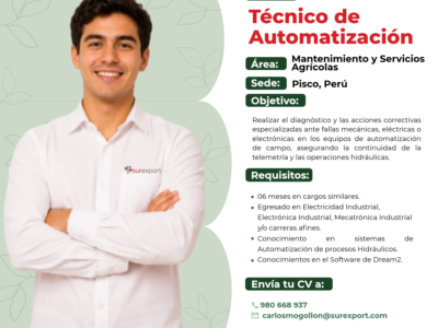 TÉCNICO DE AUTOMATIZACIÓN
