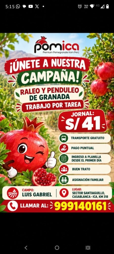 🍎 POMICA – CONVOCATORIA LABORAL - Imagen 1