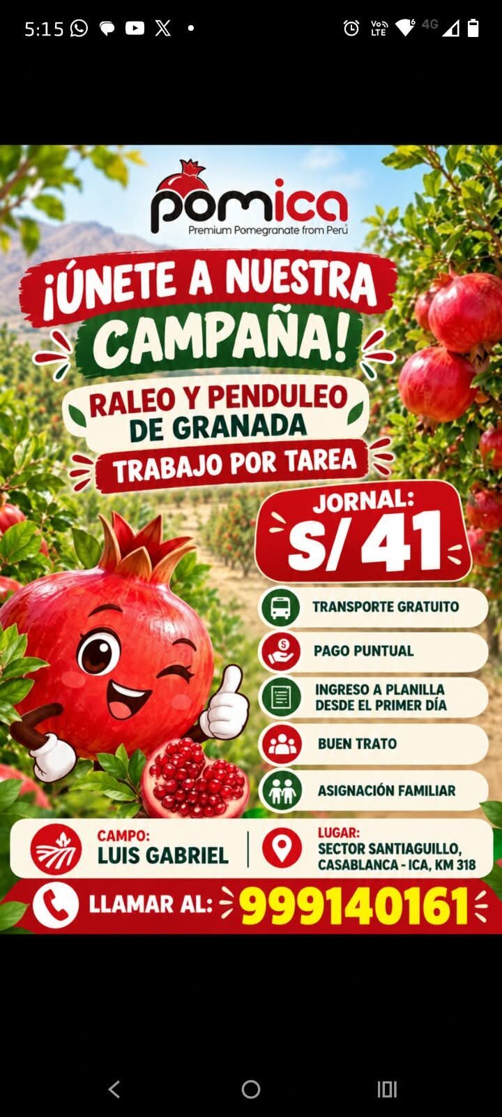 🍎 POMICA – CONVOCATORIA LABORAL