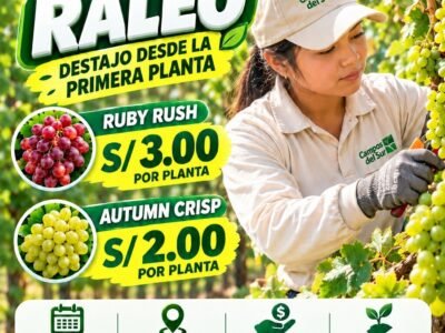 Raleadores de uva