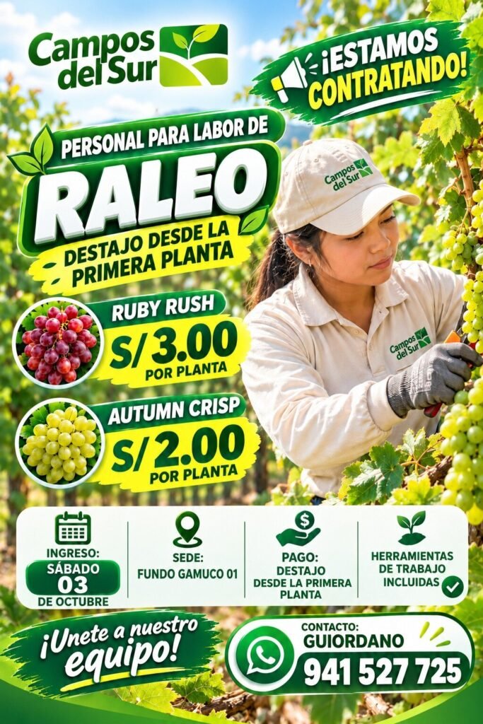 Raleadores de uva - Imagen 1