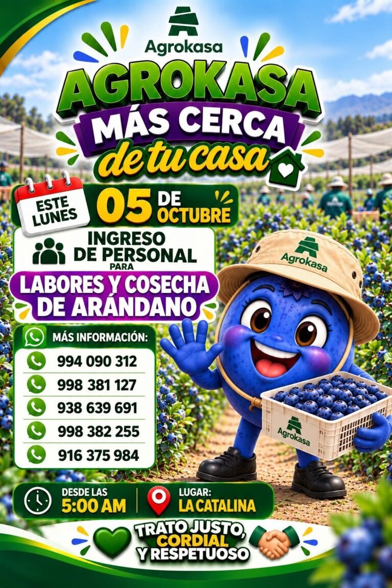 Personal para labores y cosecha de arándano
