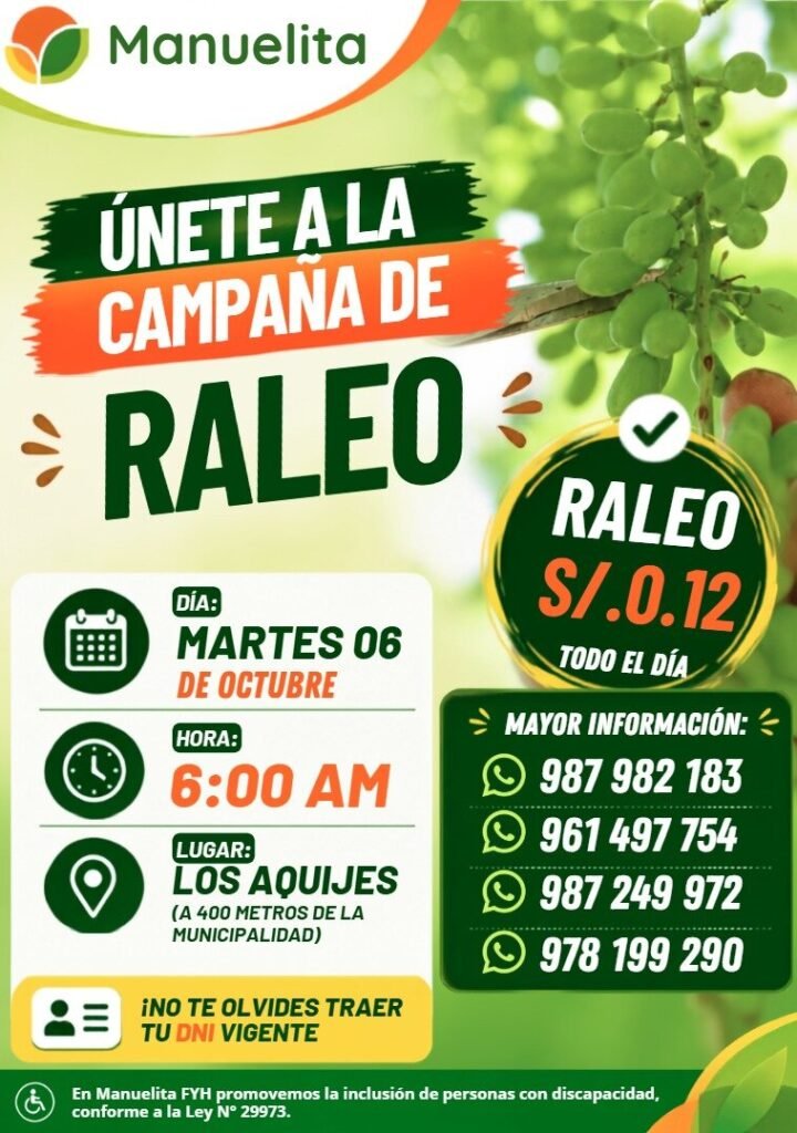 Cosecha de uva en Manuelita Ica - Imagen 1