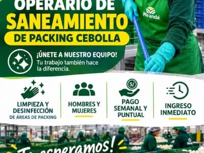 Operarios de Saneamiento