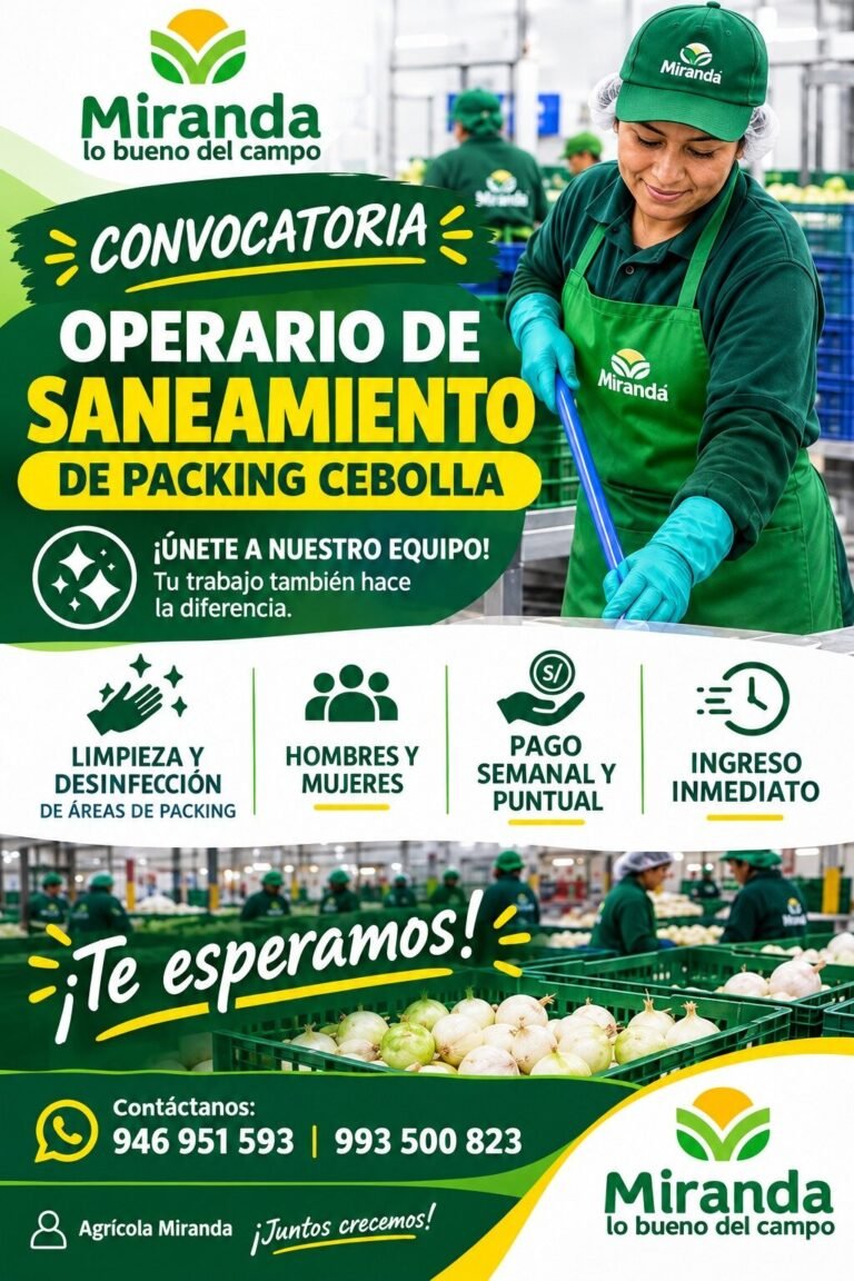 Operarios de Saneamiento