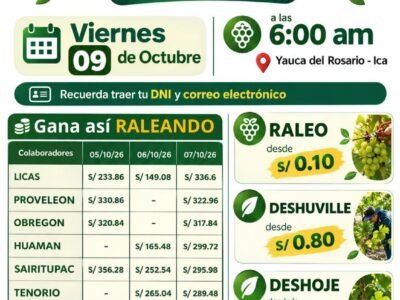 Raleo de uva