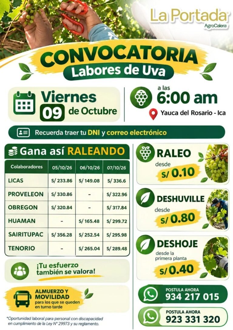 Raleo de uva