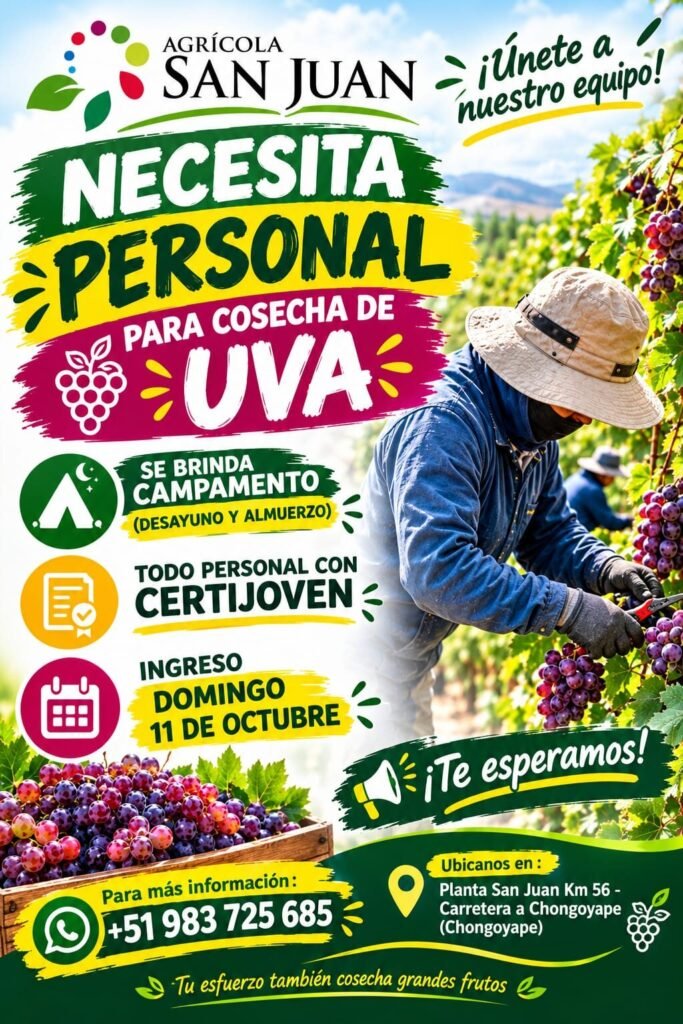 Cosecha de uva - Imagen 1