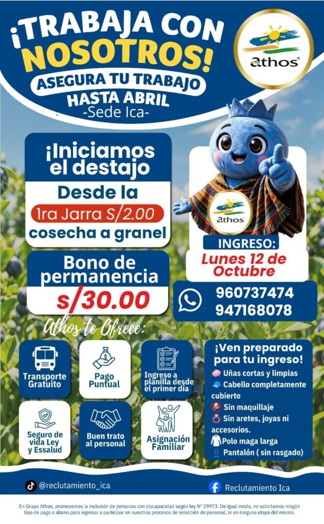 Se requiere 180 trabajadores para diversas labores en Ica - Imagen 2