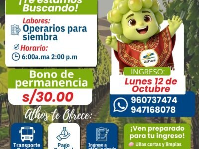 Se requiere 180 trabajadores para diversas labores en Ica