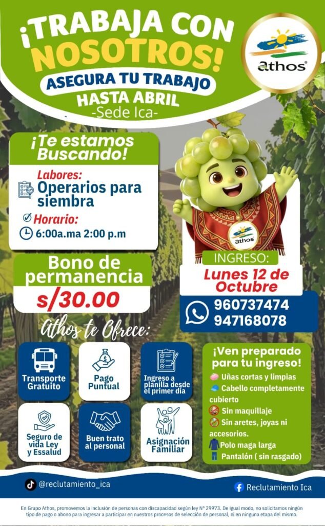 Se requiere 180 trabajadores para diversas labores en Ica - Imagen 1