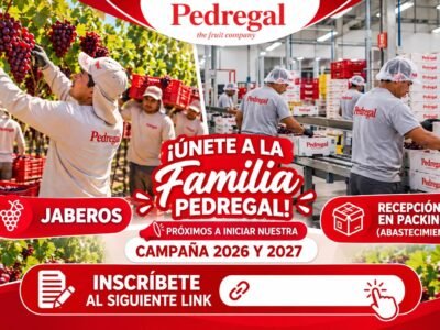 Campaña de packing en Pedregal Ica