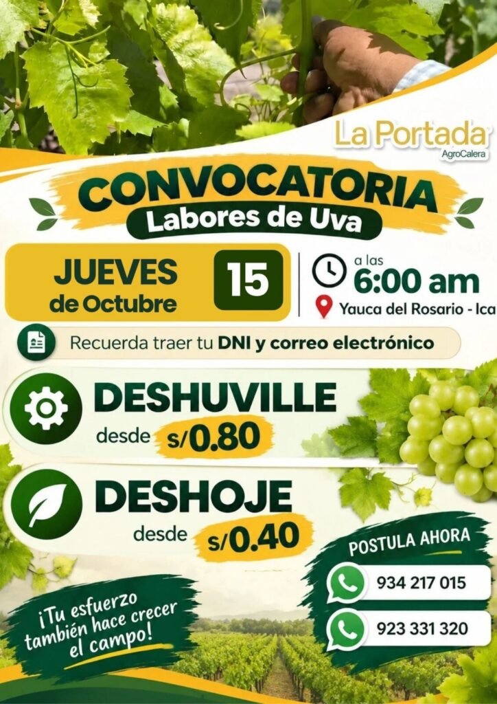 Labores de Uva (deshuvelle y deshoje) - Imagen 1