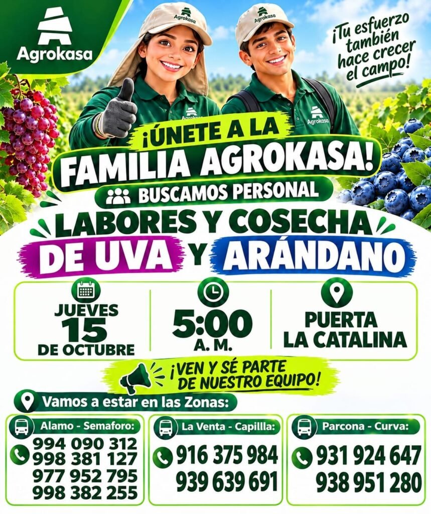 Cosecha de uva y arandanos - Imagen 1
