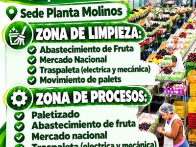 Campaña de packing de uva en Agricola Don Ricardo