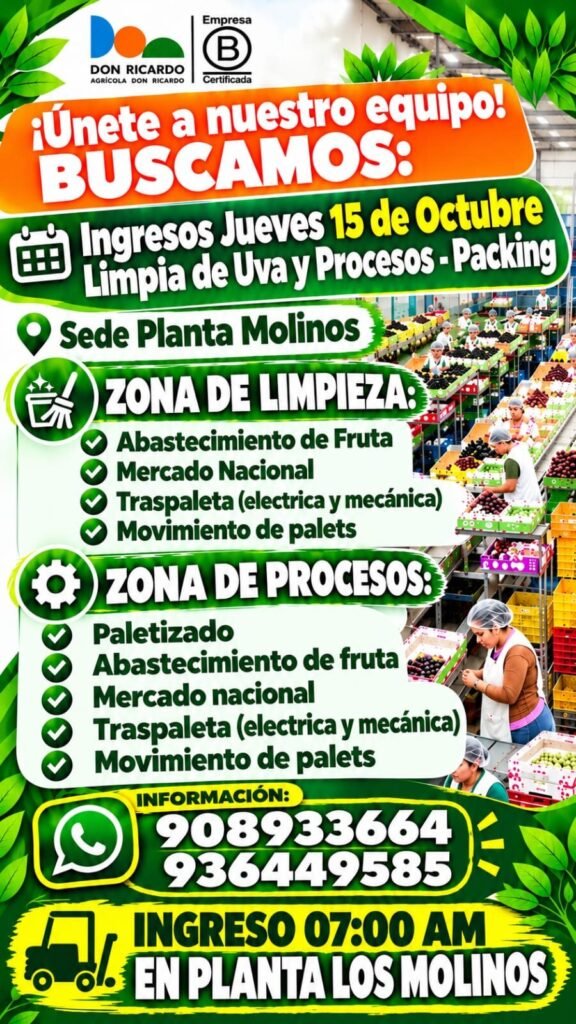 Campaña de packing de uva en Agricola Don Ricardo - Imagen 1
