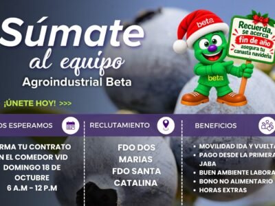 Cosecha de Arándano 2026