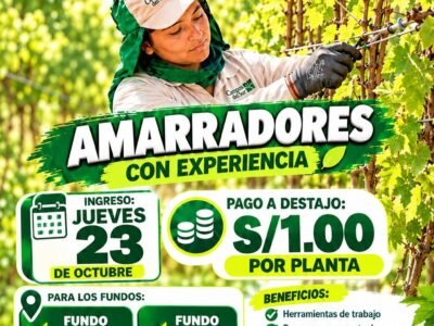 Amarradores