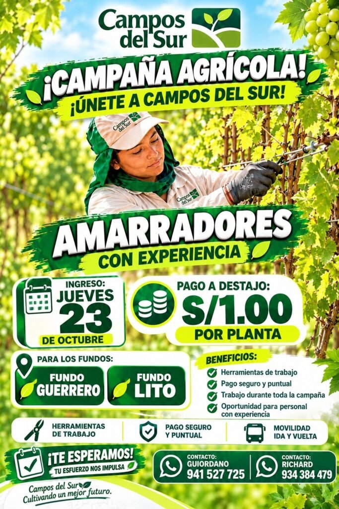 Amarradores - Imagen 1