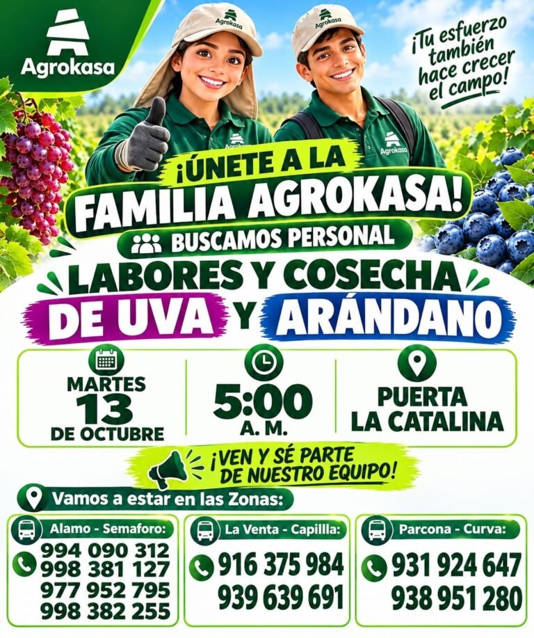 ¡Únete a la familia Agrokasa! Labores y cosecha de uva y arándano