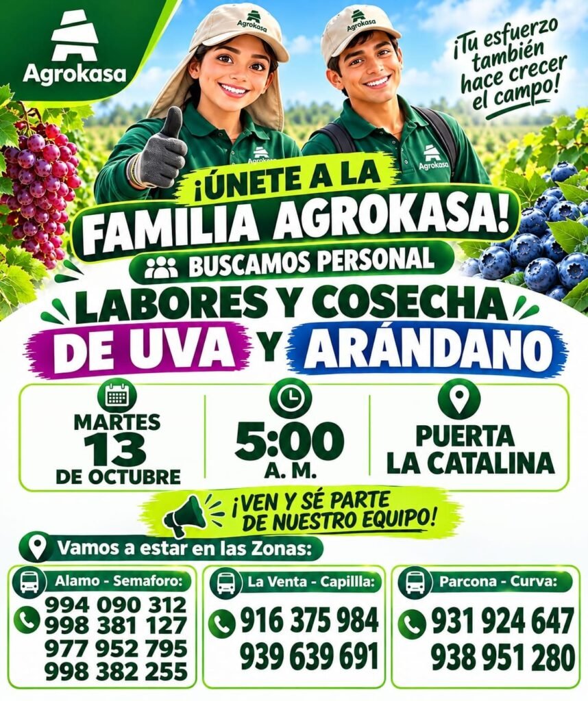 ¡Únete a la familia Agrokasa! Labores y cosecha de uva y arándano - Imagen 1