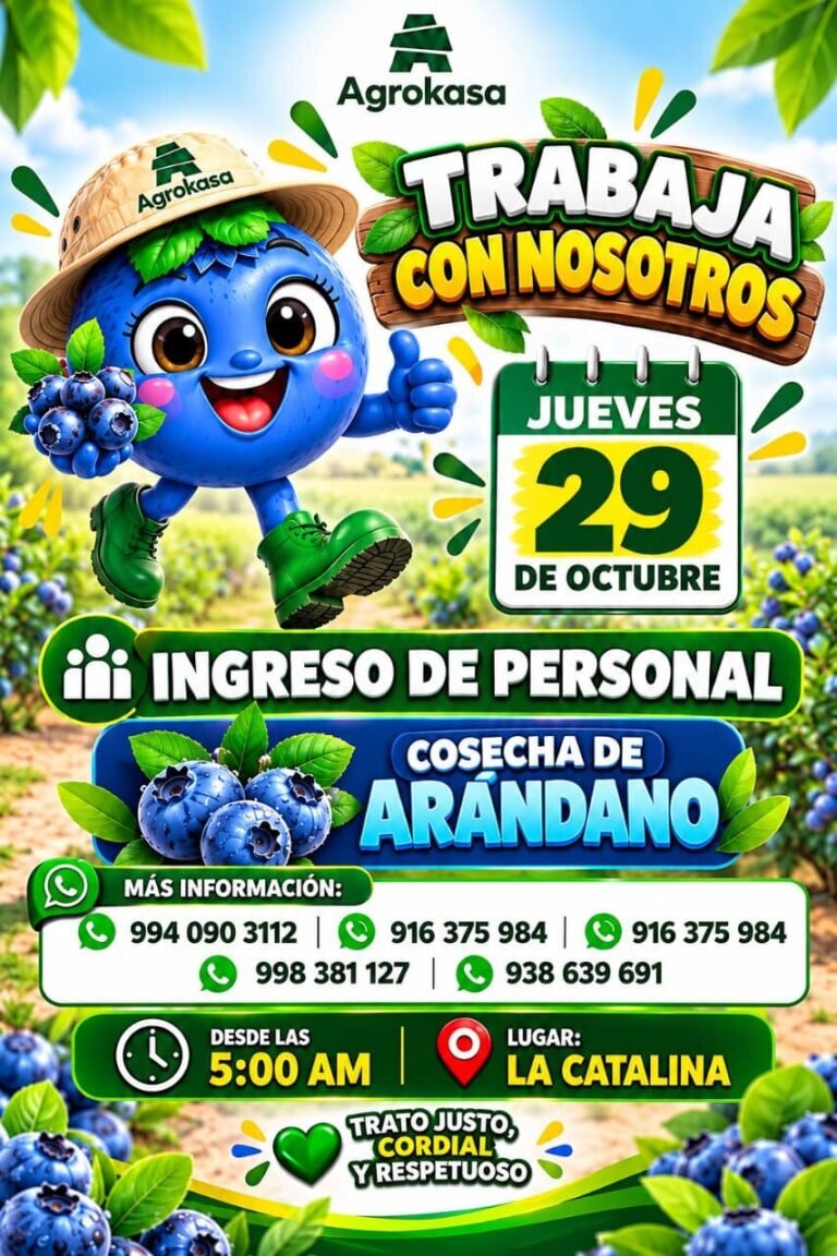 COSECHA DE ARÁNDANO – AGROKASA LA CATALINA (ICA)