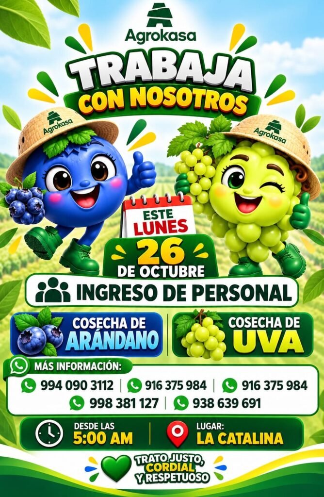 Agrokasa: Ingreso de personal para cosecha de uva y arándano – La Catalina (Ica) - Imagen 1