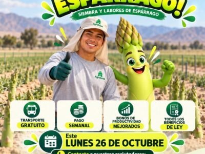 Agrokasa: Únete al Equipo Espárrago – Siembra y Labores (Pisco)