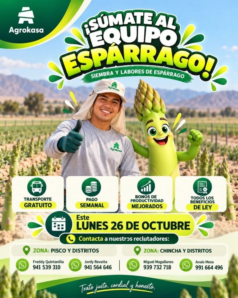 Agrokasa: Únete al Equipo Espárrago – Siembra y Labores (Pisco) - Imagen 1