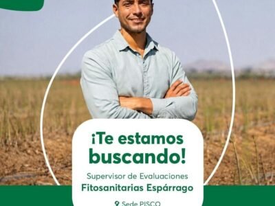 Supervisor de Evaluaciones Fitosanitarias Espárrago – Agrokasa (Pisco)