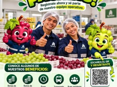 Packing de Uva – Agrokasa: Regístrate