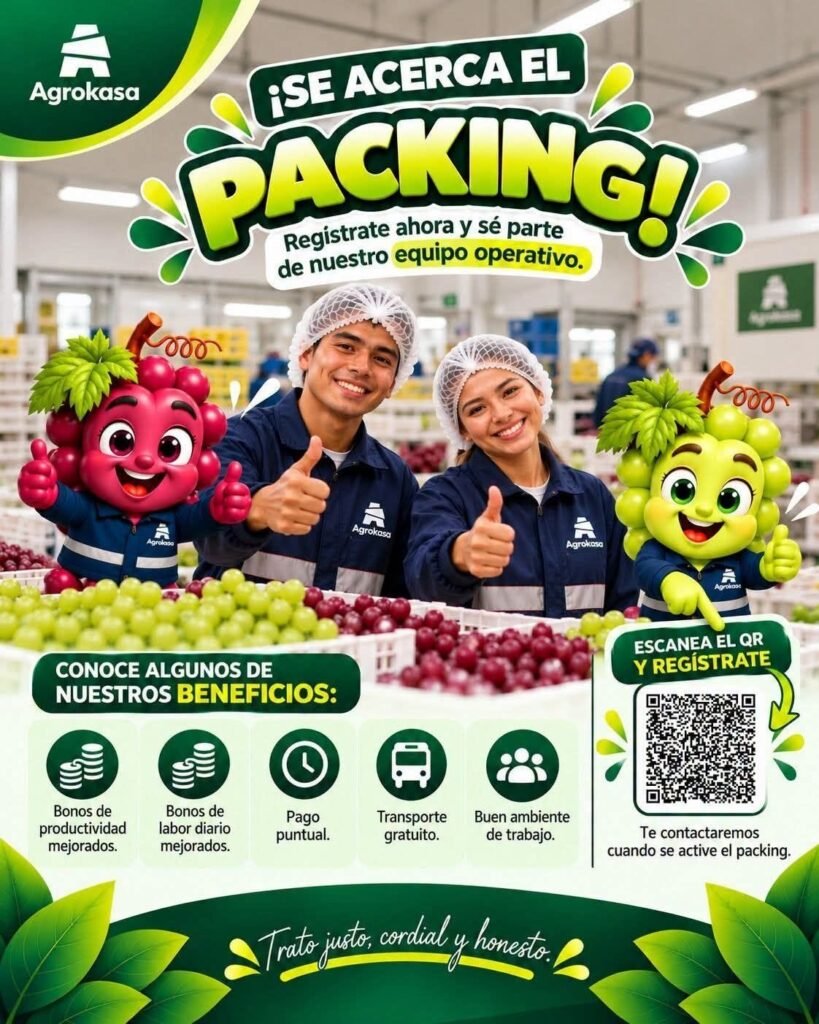 Packing de Uva – Agrokasa: Regístrate - Imagen 1
