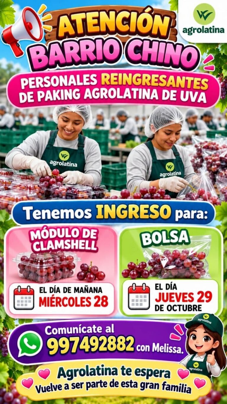 Personal Reingresante de Packing de Uva – Agrolatina (Clamshell y Bolsa)