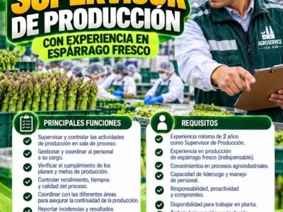 SUPERVISOR DE PRODUCCIÓN CON EXPERIENCIA EN ESPÁRRAGO FRESCO – AGROSERVICE ICA SUR – ICA