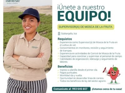 SUPERVISOR(A) DE MOSCA DE LA FRUTA Y TRACTORISTAS – AMFRESH PERÚ – SUBTANJALLA, ICA