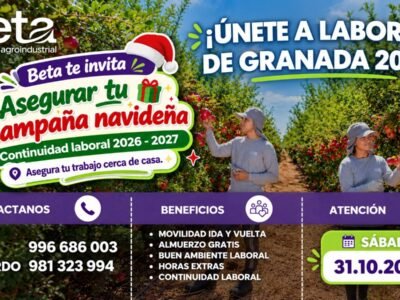LABORES DE GRANADA 2026 – BETA