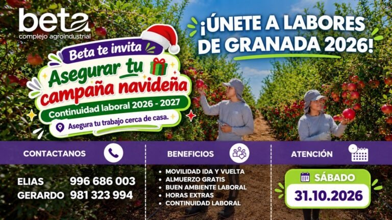LABORES DE GRANADA 2026 – BETA