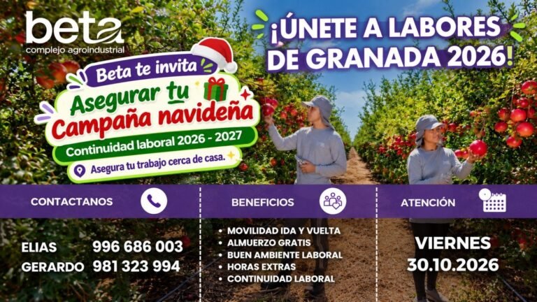 LABORES DE GRANADA 2026 – BETA (ICA)