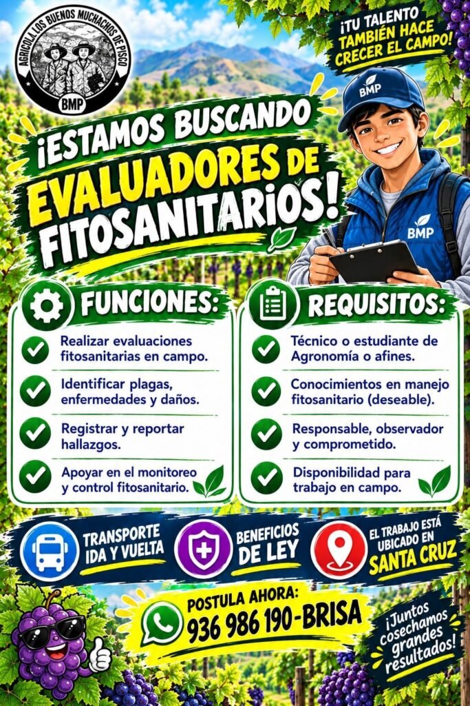 Evaluadores de Fitosanitarios – Agrícola Los Buenos Muchachos de Pisco (BMP) - Imagen 1