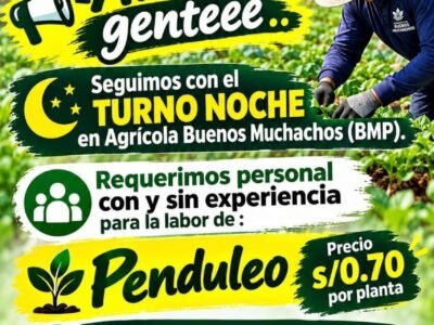 PENDULEO TURNO NOCHE – AGRÍCOLA BUENOS MUCHACHOS (PISCO)