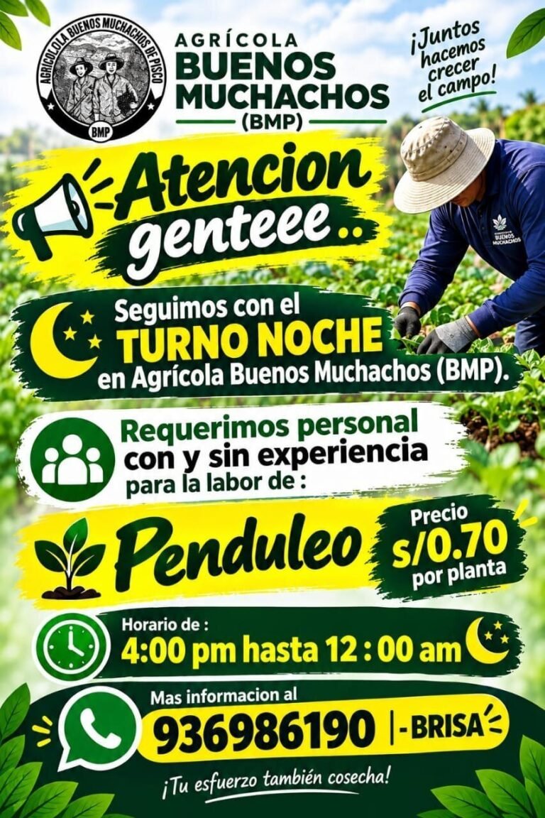 PENDULEO TURNO NOCHE – AGRÍCOLA BUENOS MUCHACHOS (PISCO)