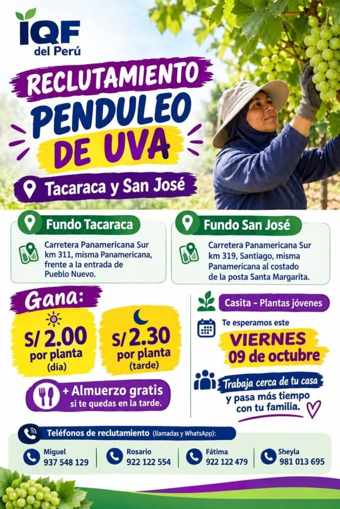 Supervisor de labores de uva y otras labores - Imagen 1
