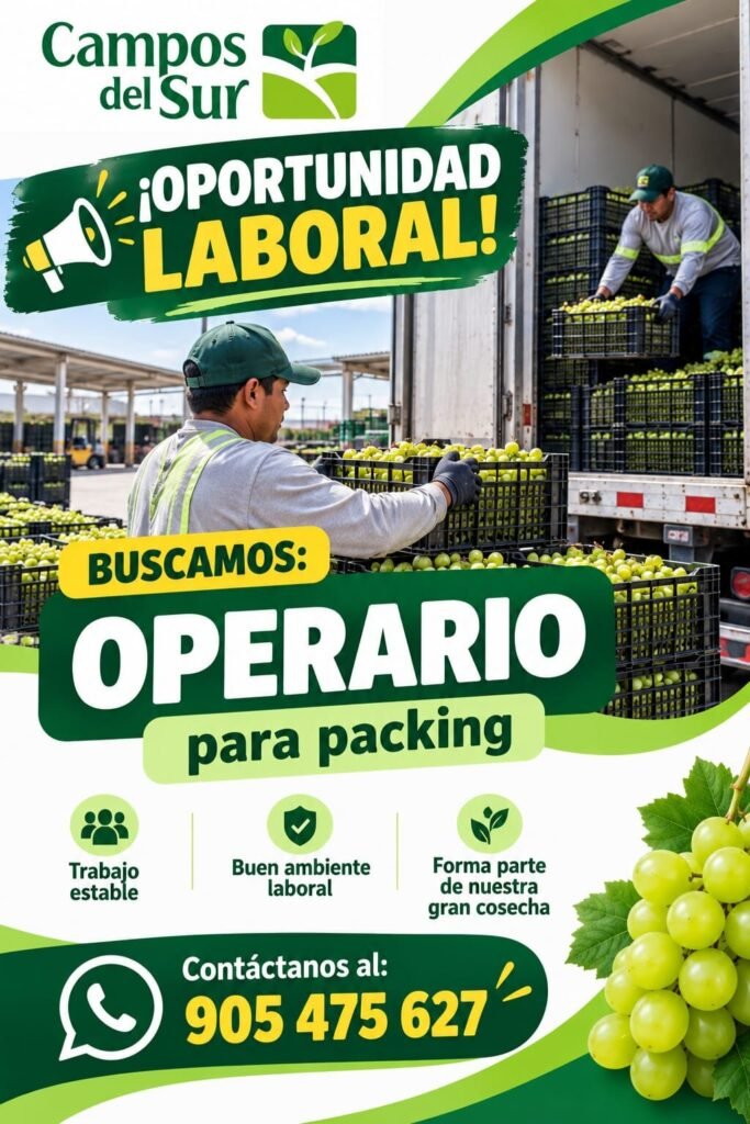 Operario de Recepción para Packing – Campos del Sur – San Juan Bautista - Imagen 1